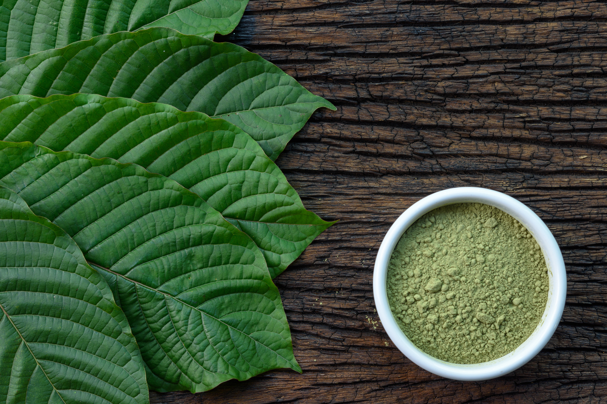Analyzing Kratom's Various Forms: Powder, Capsules, and Extracts