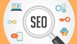What to Expect from a Professional SEO Agency in Ottawa: Services and Strategies?